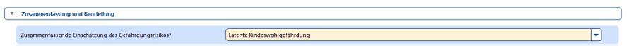 Vor Ort Beurteilung