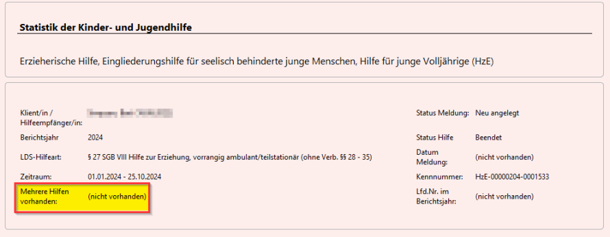 Statistikblatt Kopfdaten Bereich mehrere Hilfen